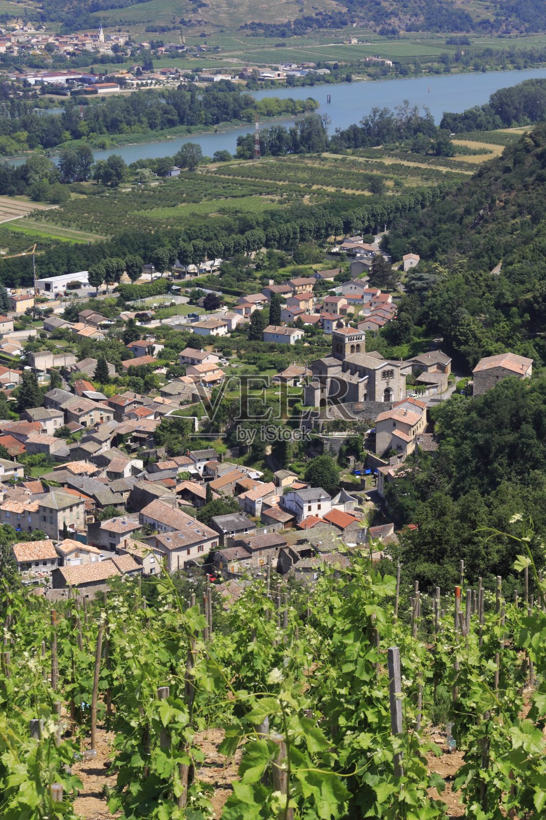 罗纳河谷葡萄园Drôme法国照片摄影图片