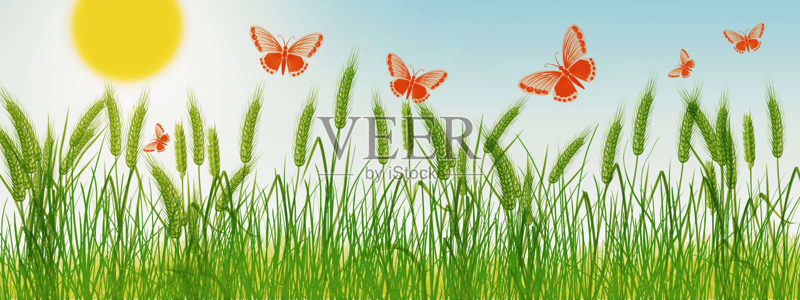 美丽的夏季股票插图。麦田上的蝴蝶。插画图片素材