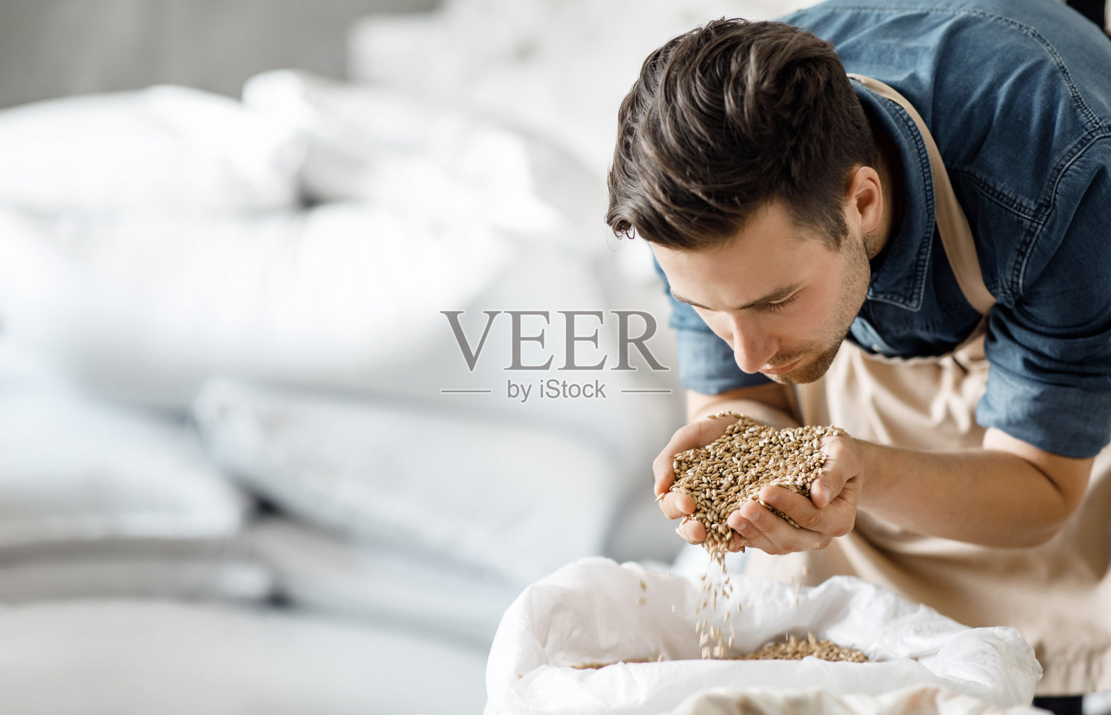 享受新鲜谷物的宜人香气，用于制作精酿啤酒，酒精的生产照片摄影图片