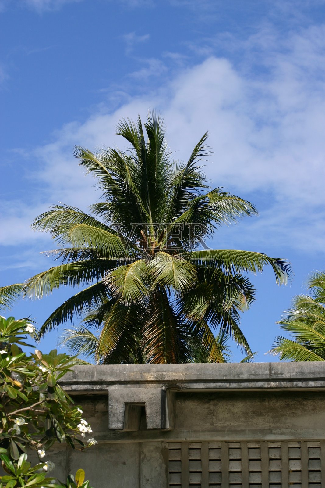 马绍尔群岛Jaluit环礁-混凝土建筑与棕榈树照片摄影图片
