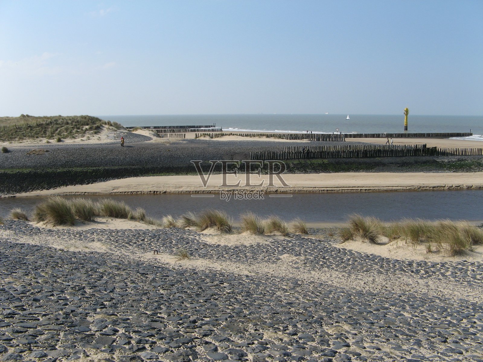 春天的荷兰加赞德海岸照片摄影图片