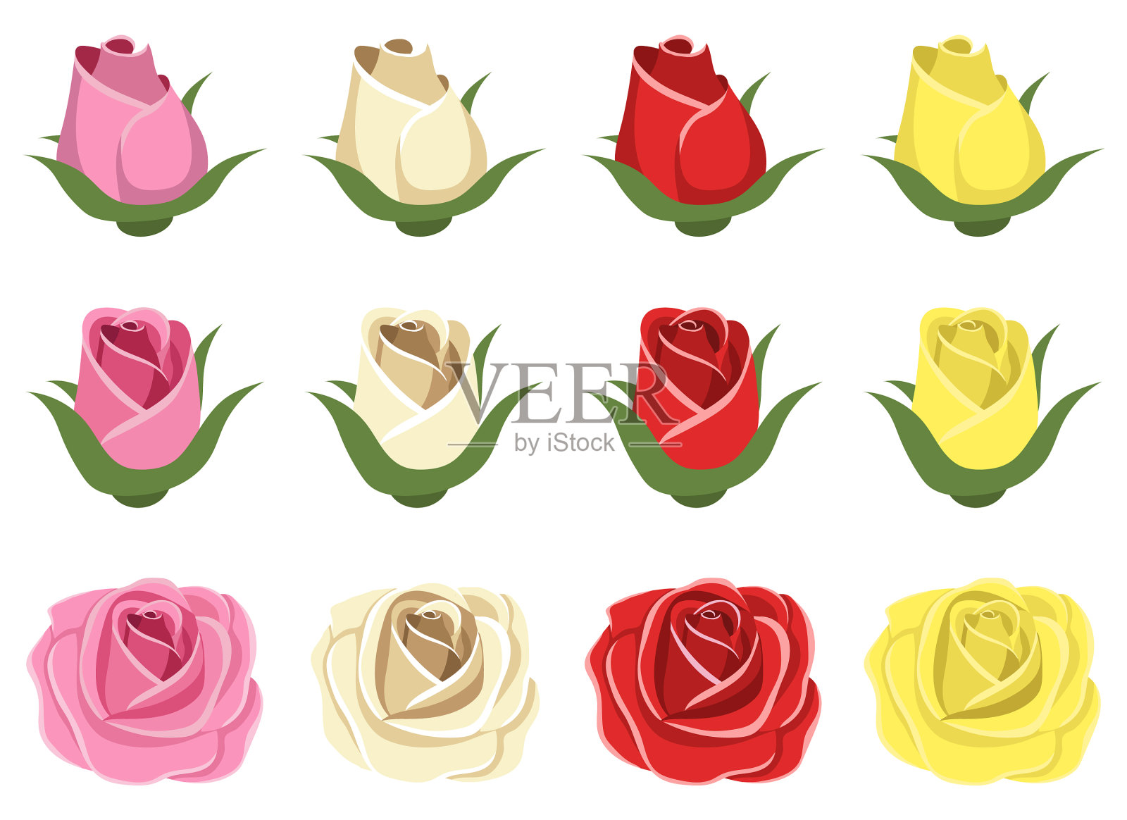 复古玫瑰设计孤立在白色背景插画图片素材