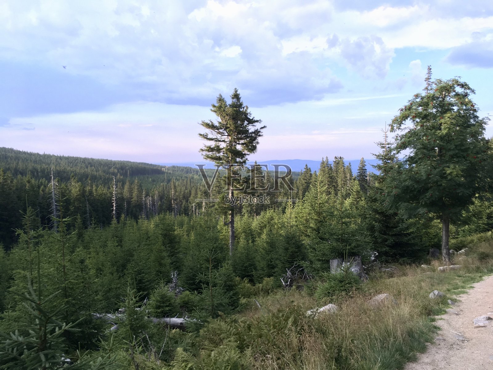 山的风景。Śnieżka波兰的山。照片摄影图片