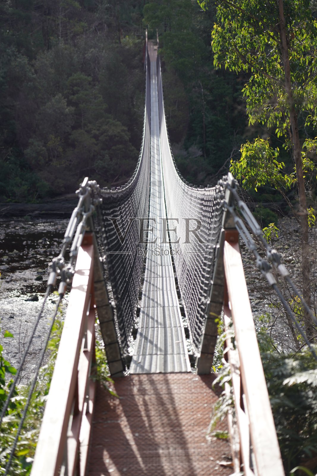 塔斯马尼亚河上的一座吊桥照片摄影图片