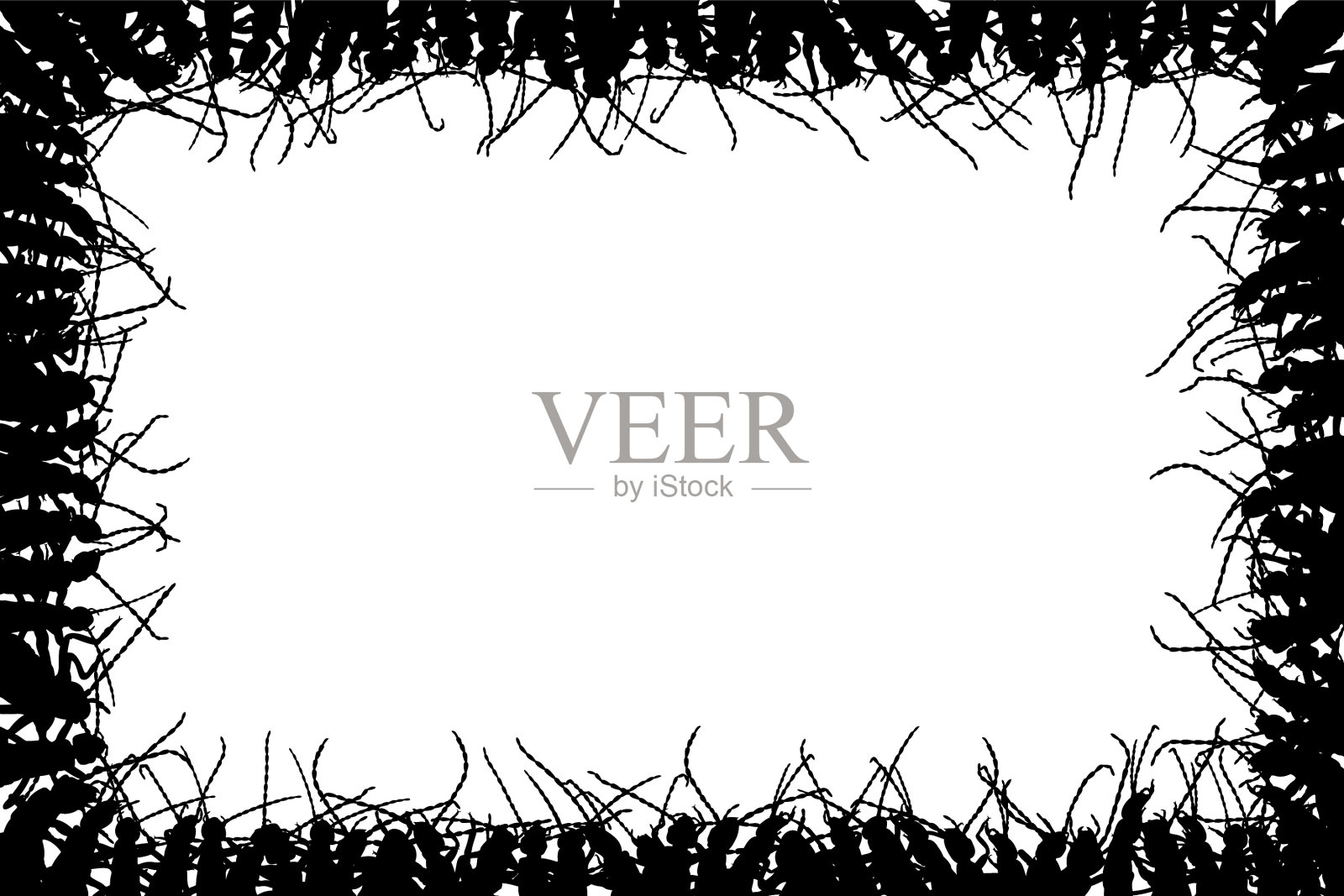 蠼螋框架插画图片素材