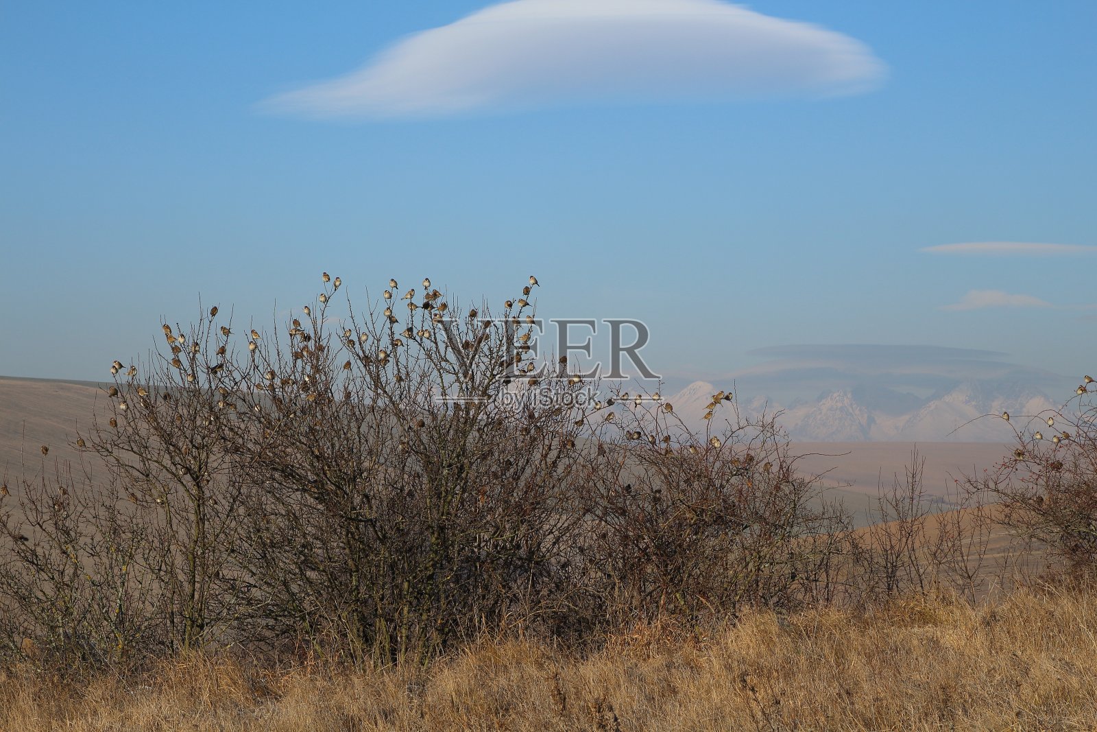 景观照片摄影图片