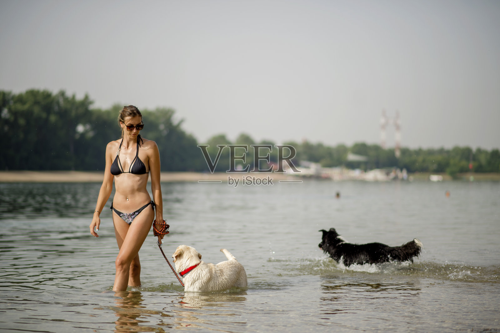 一个女人在河边玩狗照片摄影图片