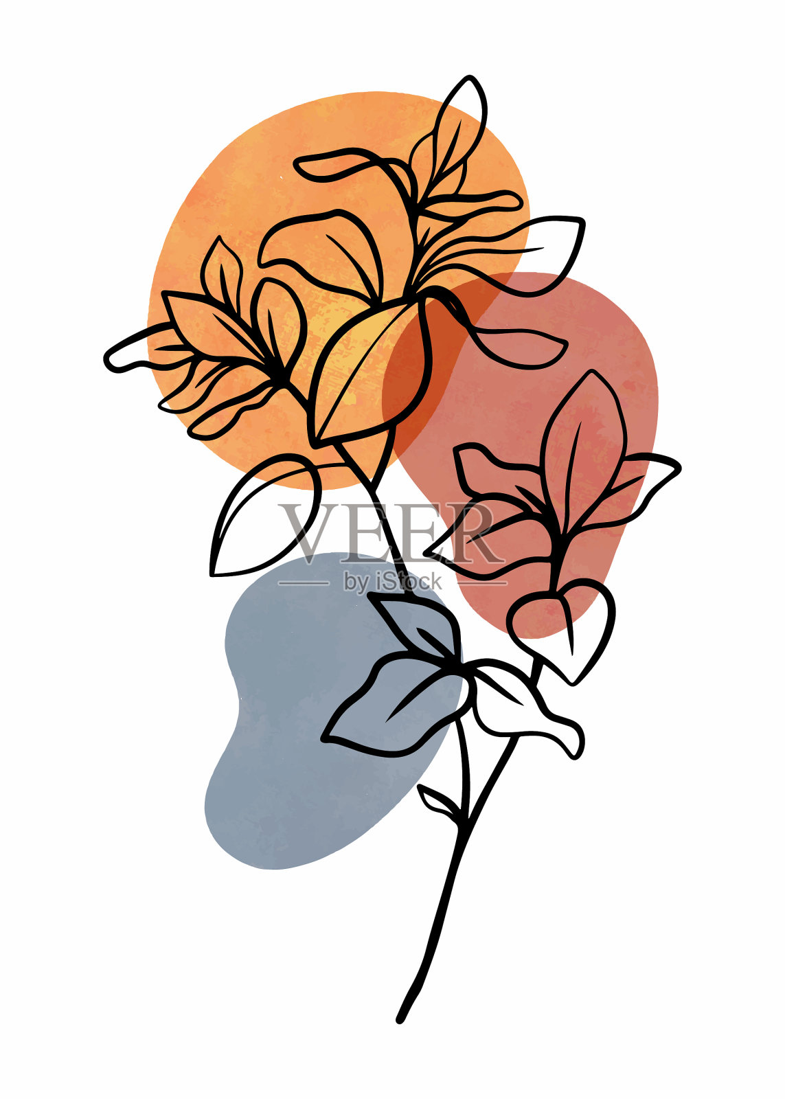 抽象植物墙艺术与抽象的叶子插画图片素材