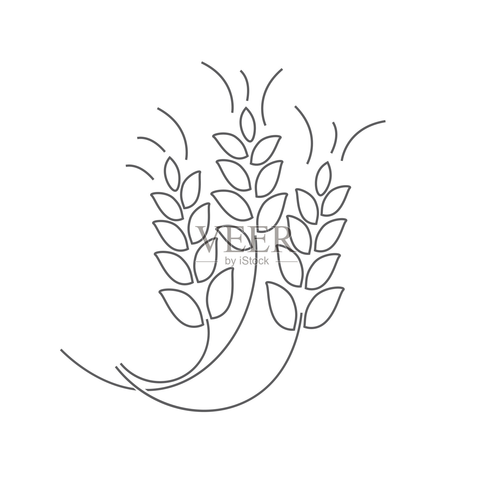 小麦穗薄而平设计插画图片素材