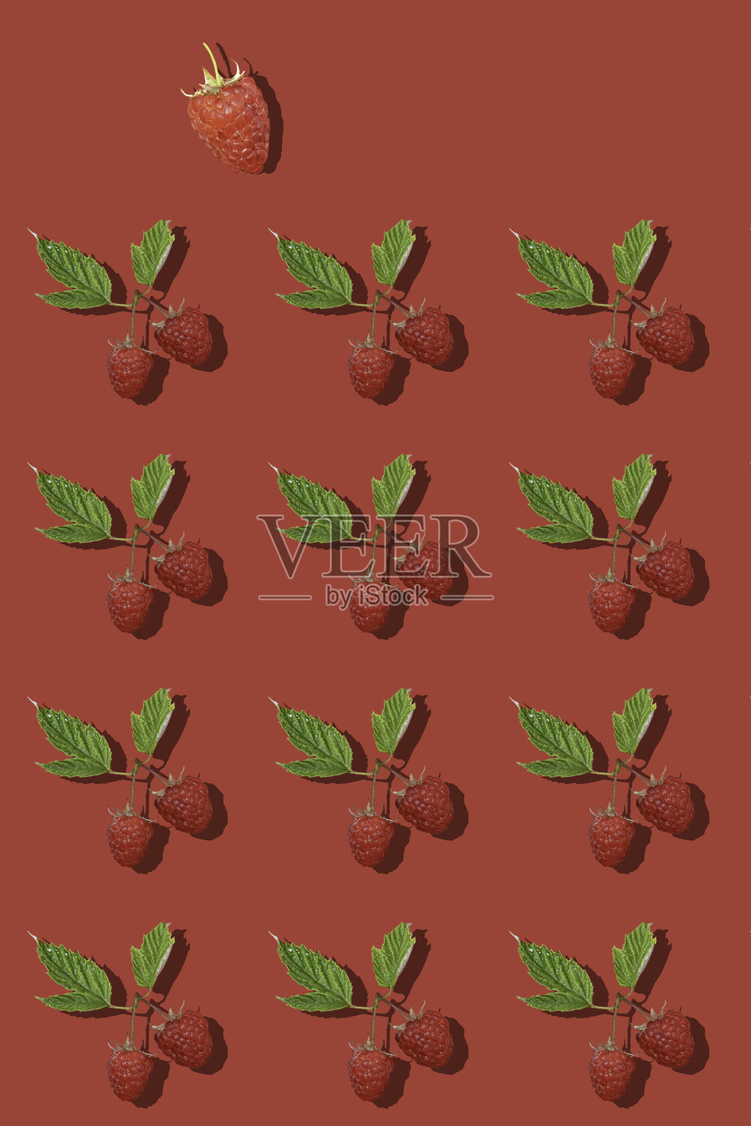 红色背景上的覆盆子插画图片素材