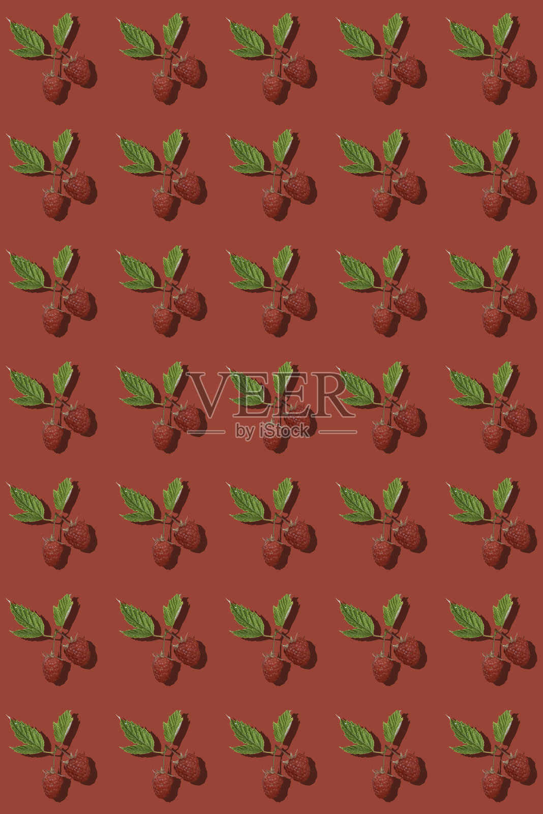 红色背景上的覆盆子插画图片素材