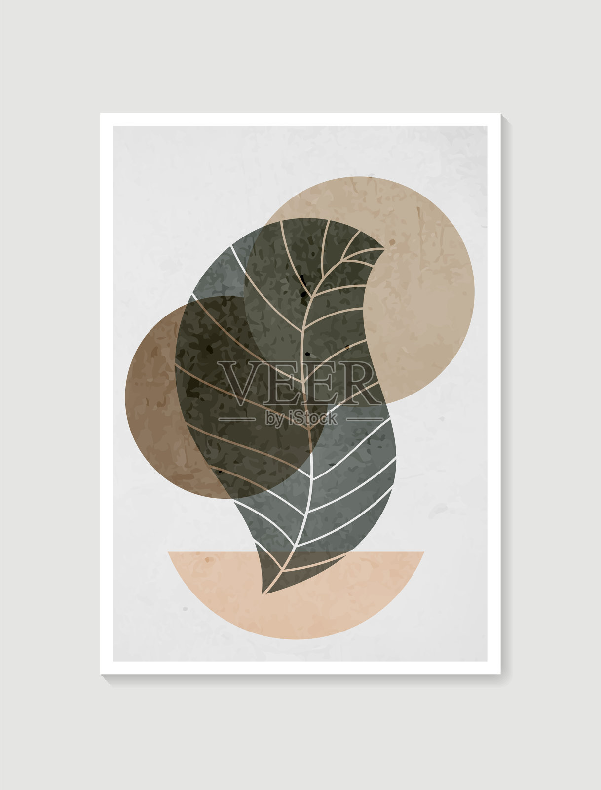 植物墙艺术简约自然插画图片素材