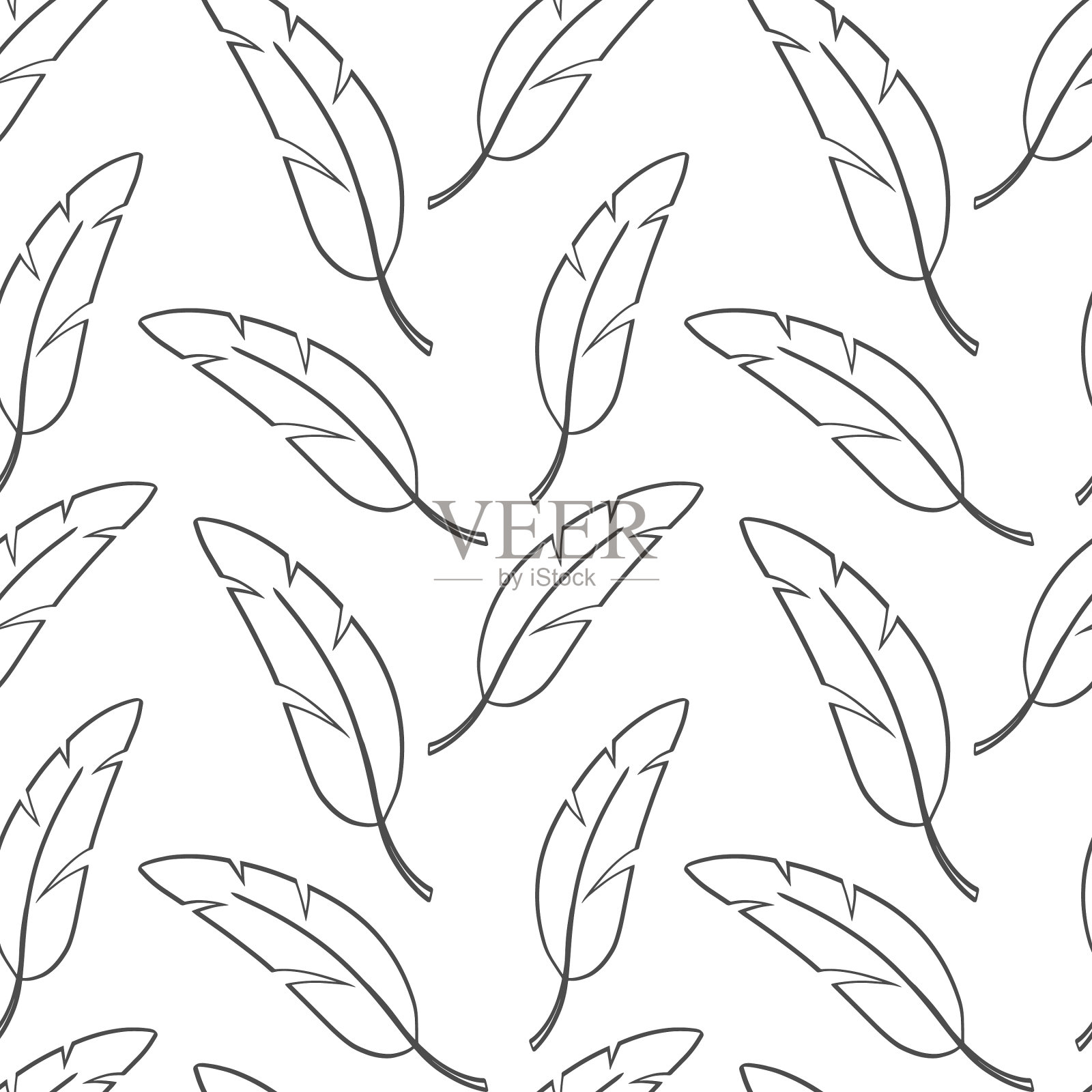 羽鸟无缝羽尾鸟孤立在白色上插画图片素材