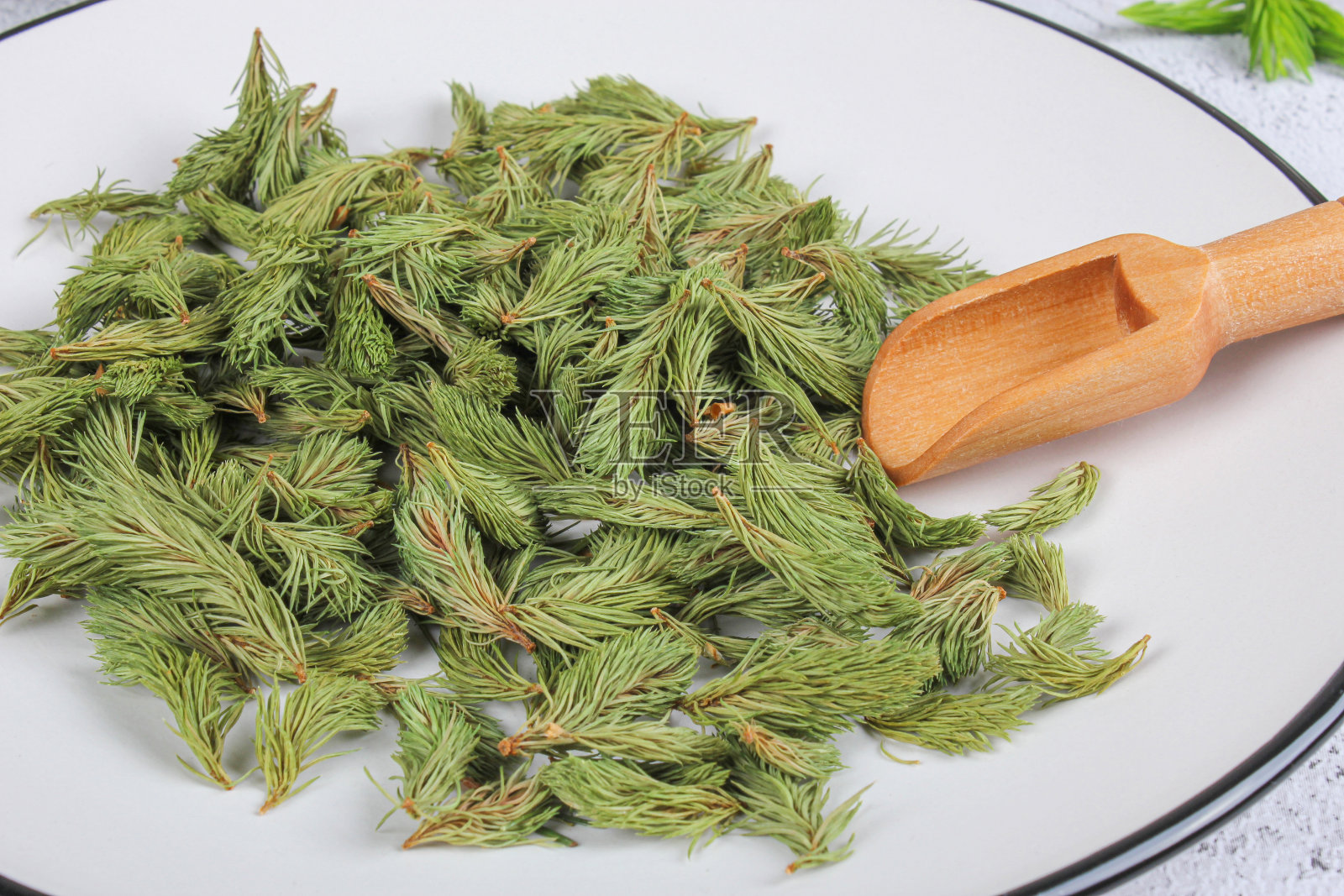 干燥的云杉幼芽用来泡茶。治咳嗽和哮喘的药。照片摄影图片