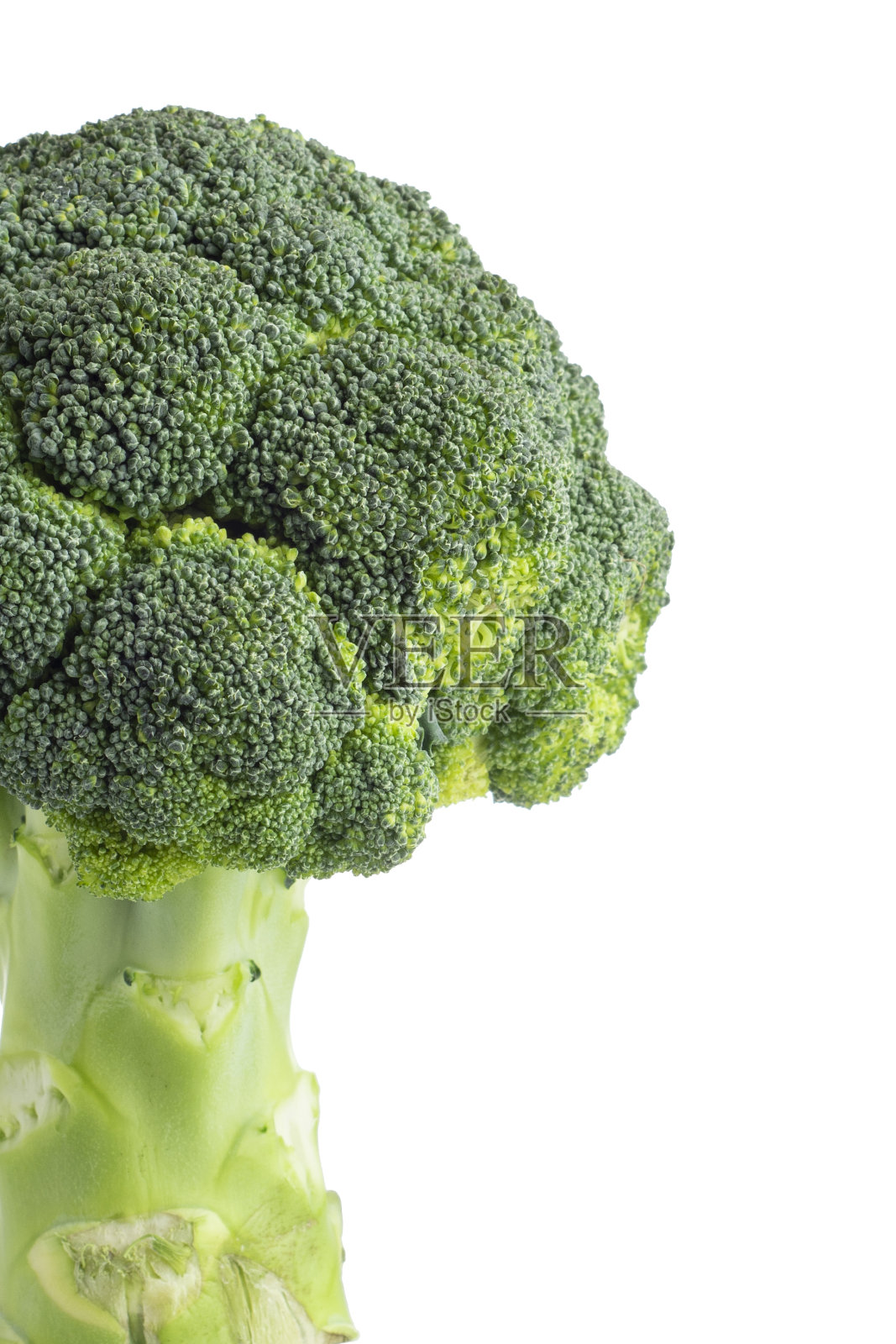 白色背景的绿色花椰菜束照片摄影图片