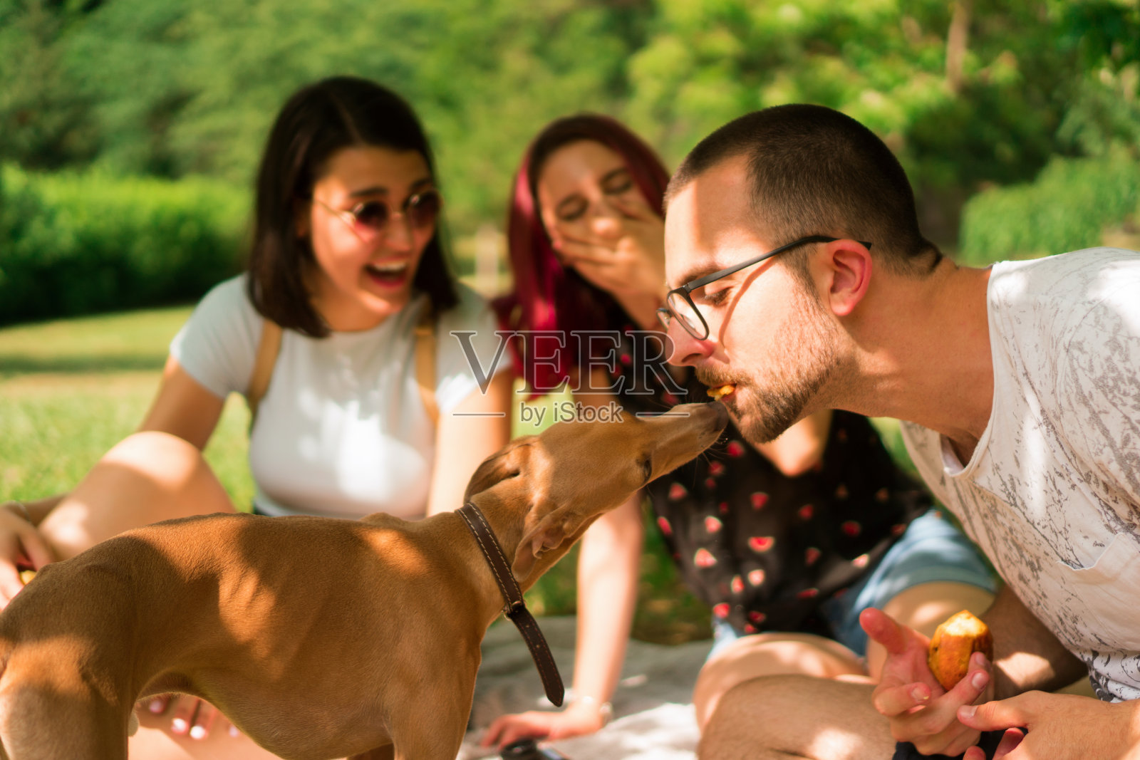 狗带来欢乐照片摄影图片