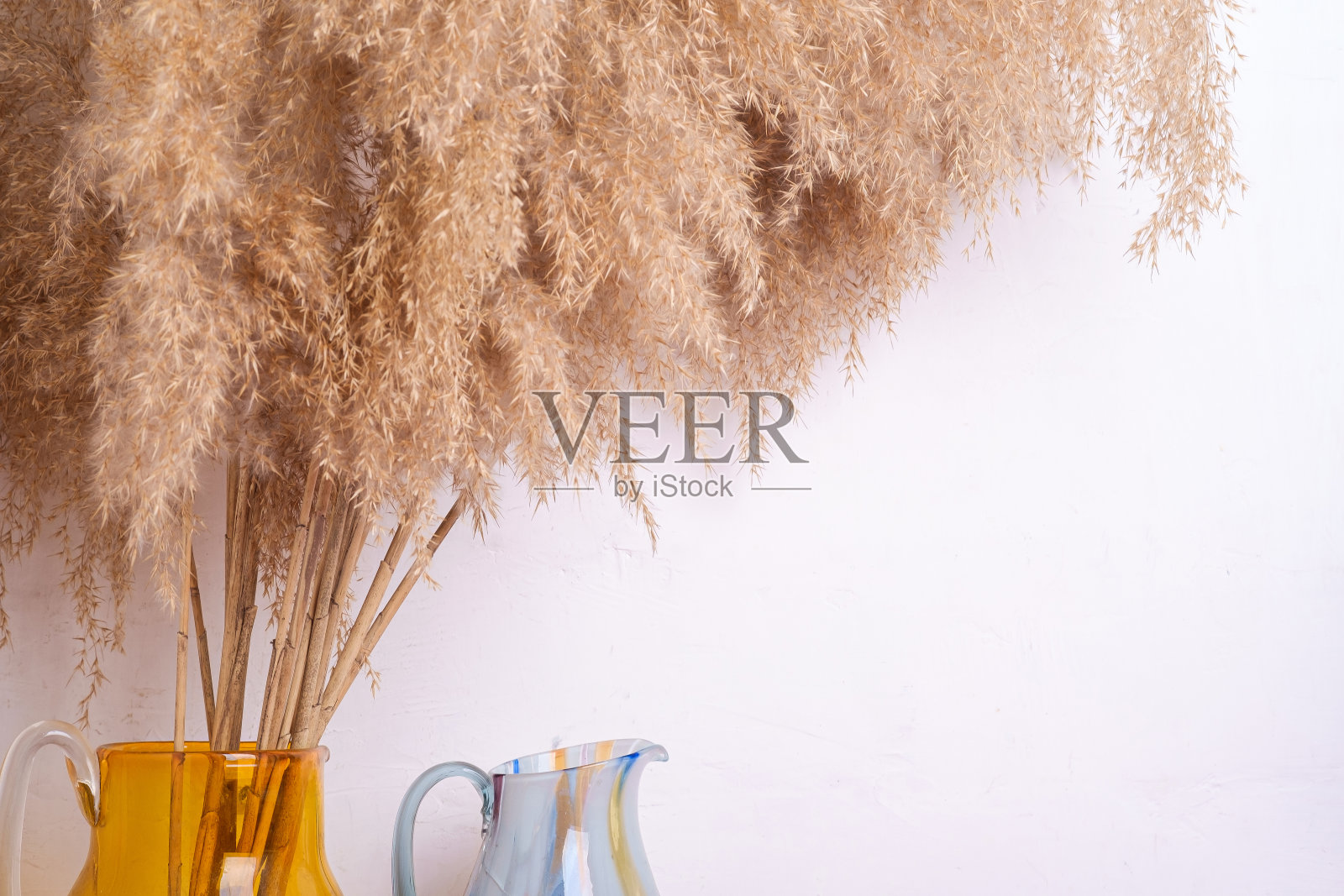 潘帕斯草芦苇玻璃花瓶靠近白墙波西米亚家居室内装饰照片摄影图片