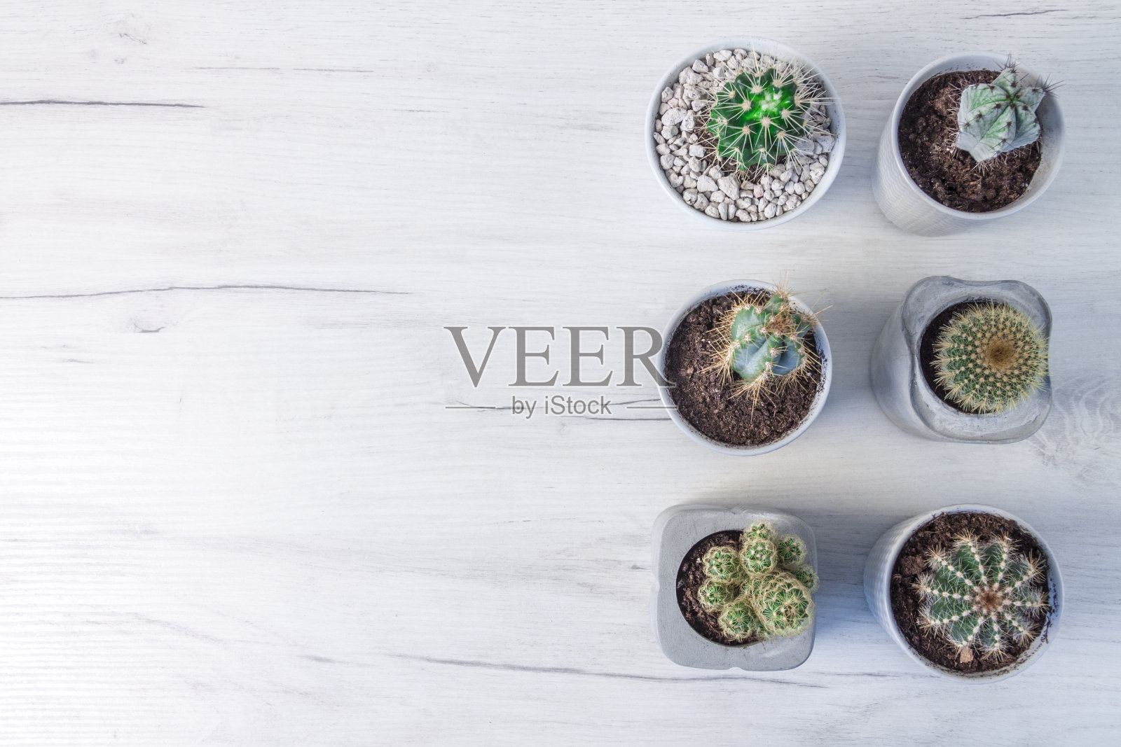 俯视图一个木制的桌子和几个仙人掌照片摄影图片