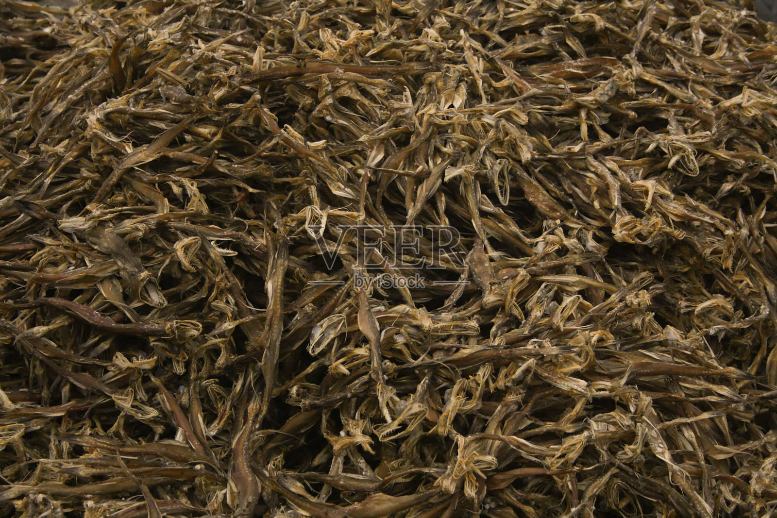 来自西孟加拉邦沿海所有干鱼加工区的各种干鱼照片摄影图片