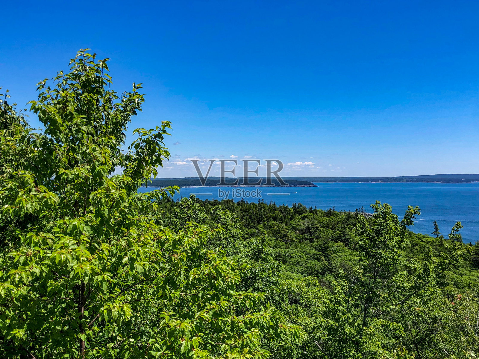 缅因州，碧蓝的湖水和湛蓝的天空映衬着绿色的森林照片摄影图片