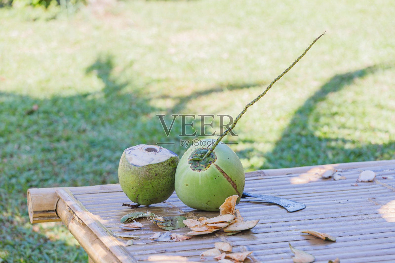 喝树上的椰子汁。鲜嫩纯净，可食用。照片摄影图片