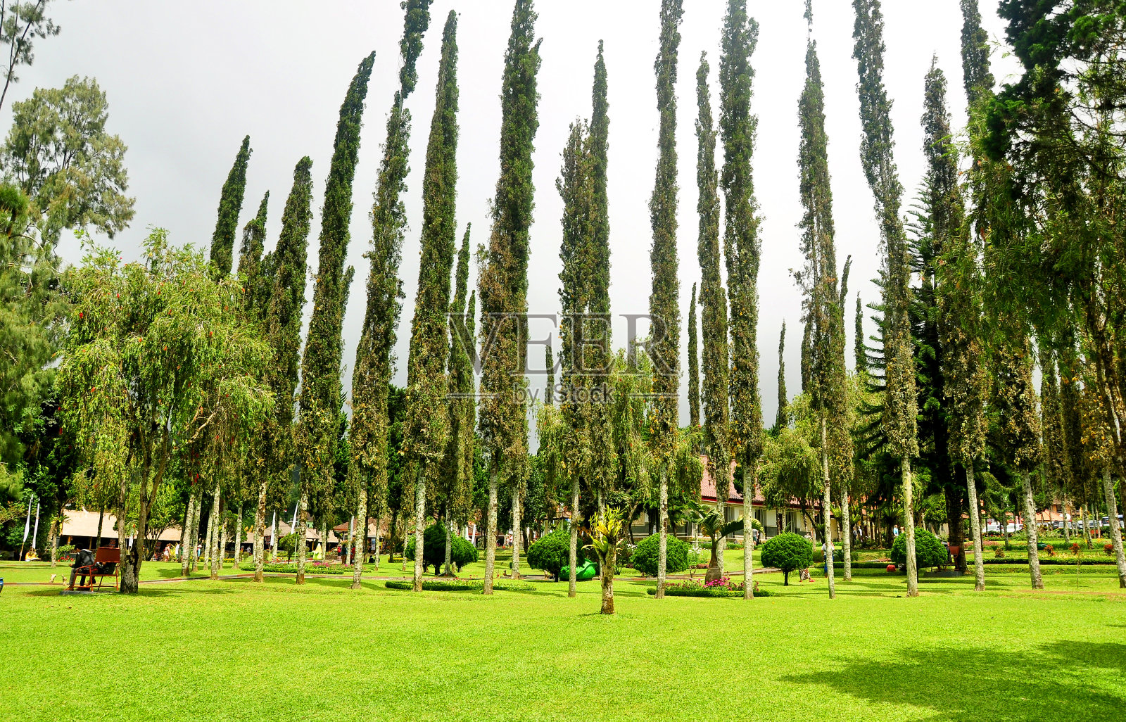 美丽的花园在乌伦达努寺庙在塔巴南摄政的印度尼西亚巴厘岛照片摄影图片