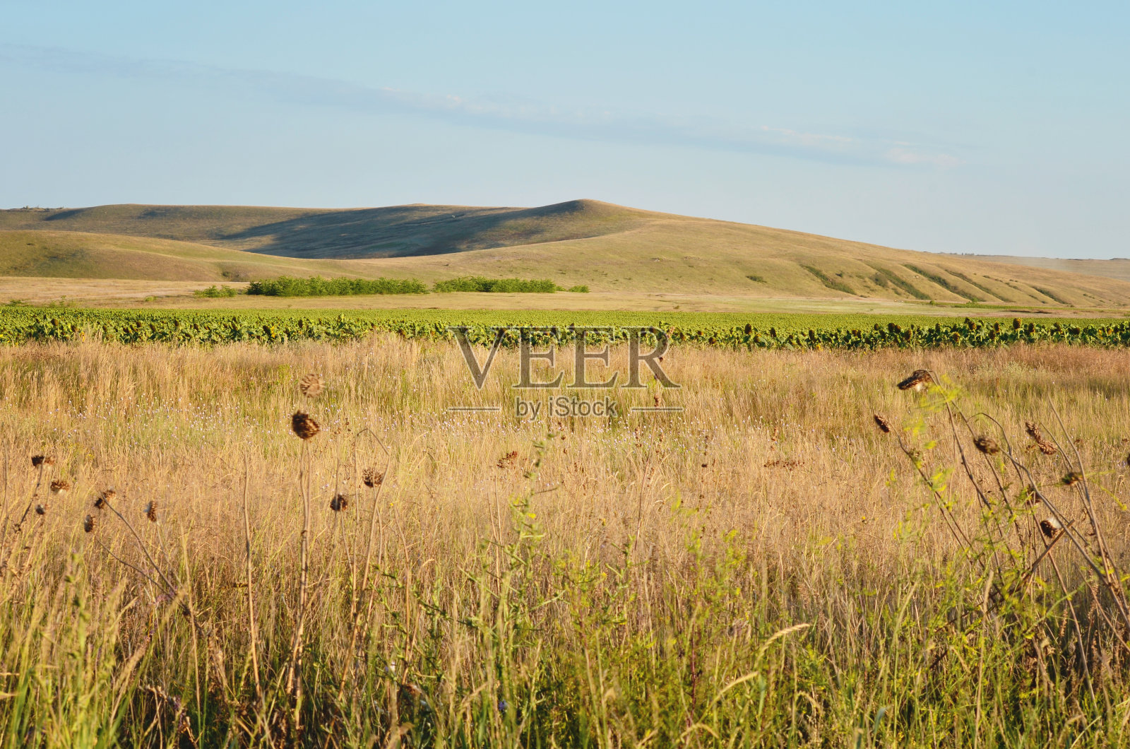 暮色中的山间草地。乡村春天的景观与山谷上的草山丘照片摄影图片
