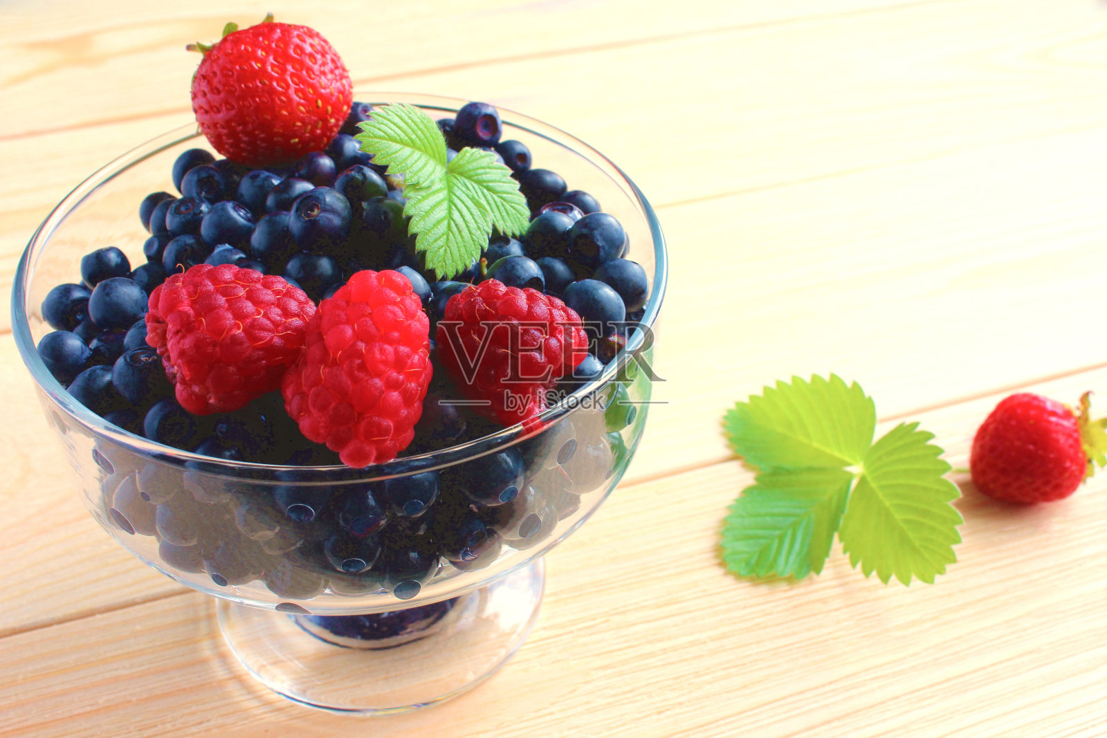 森林和花园浆果照片摄影图片