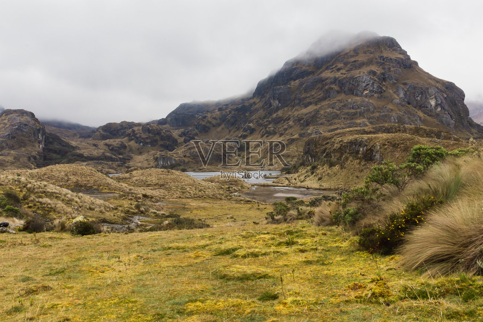 厄瓜多尔阿祖埃昆卡卡卡卡国家公园里，云雾笼罩的山峰。这是一个典型的安第斯巴拉莫生物群落，降雨和雾产生水。照片摄影图片