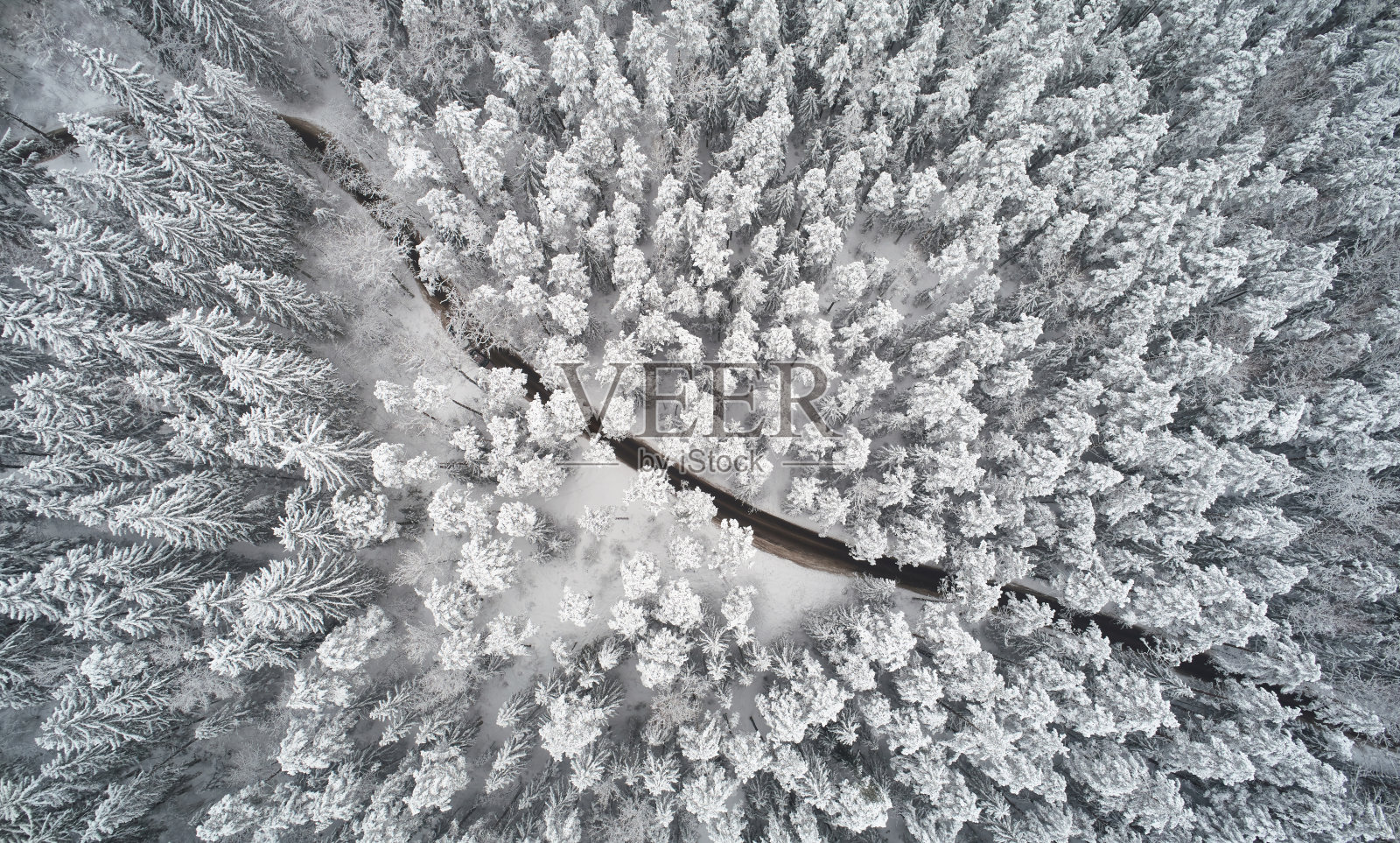 森林中的冬季路径照片摄影图片