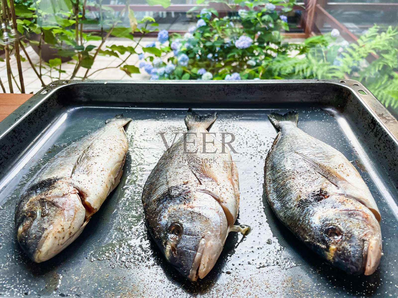 烤箱海鲷系列照片摄影图片