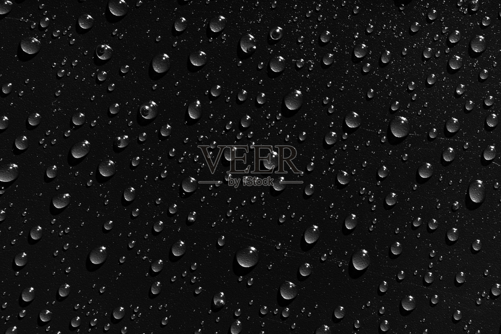黑色背景上的水滴。露水在表面。照片摄影图片