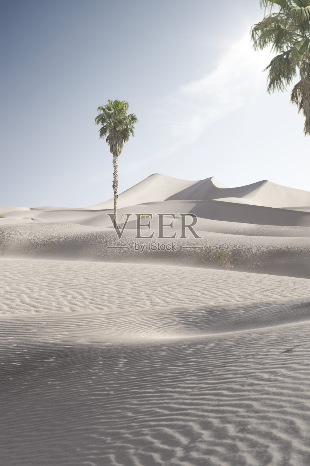 摩洛哥的观点照片摄影图片