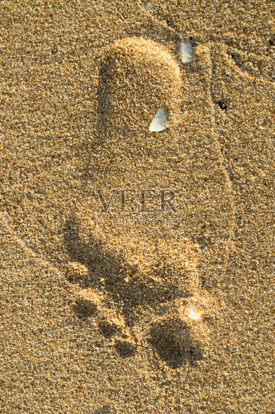 的足迹照片摄影图片