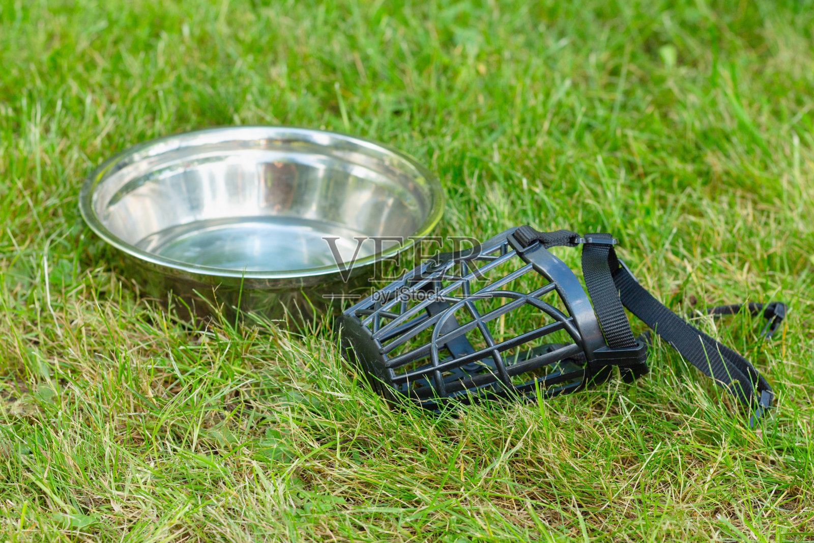 狗的塑料口套和草地上的一碗水照片摄影图片