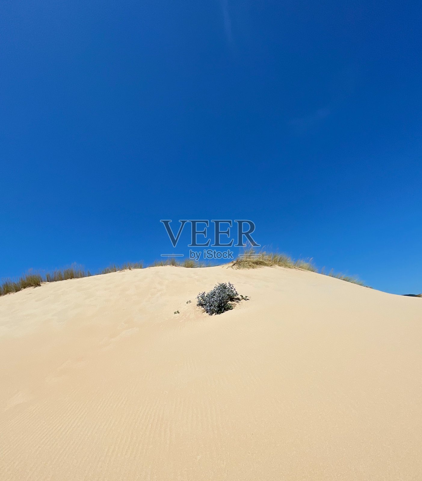 平衡照片摄影图片