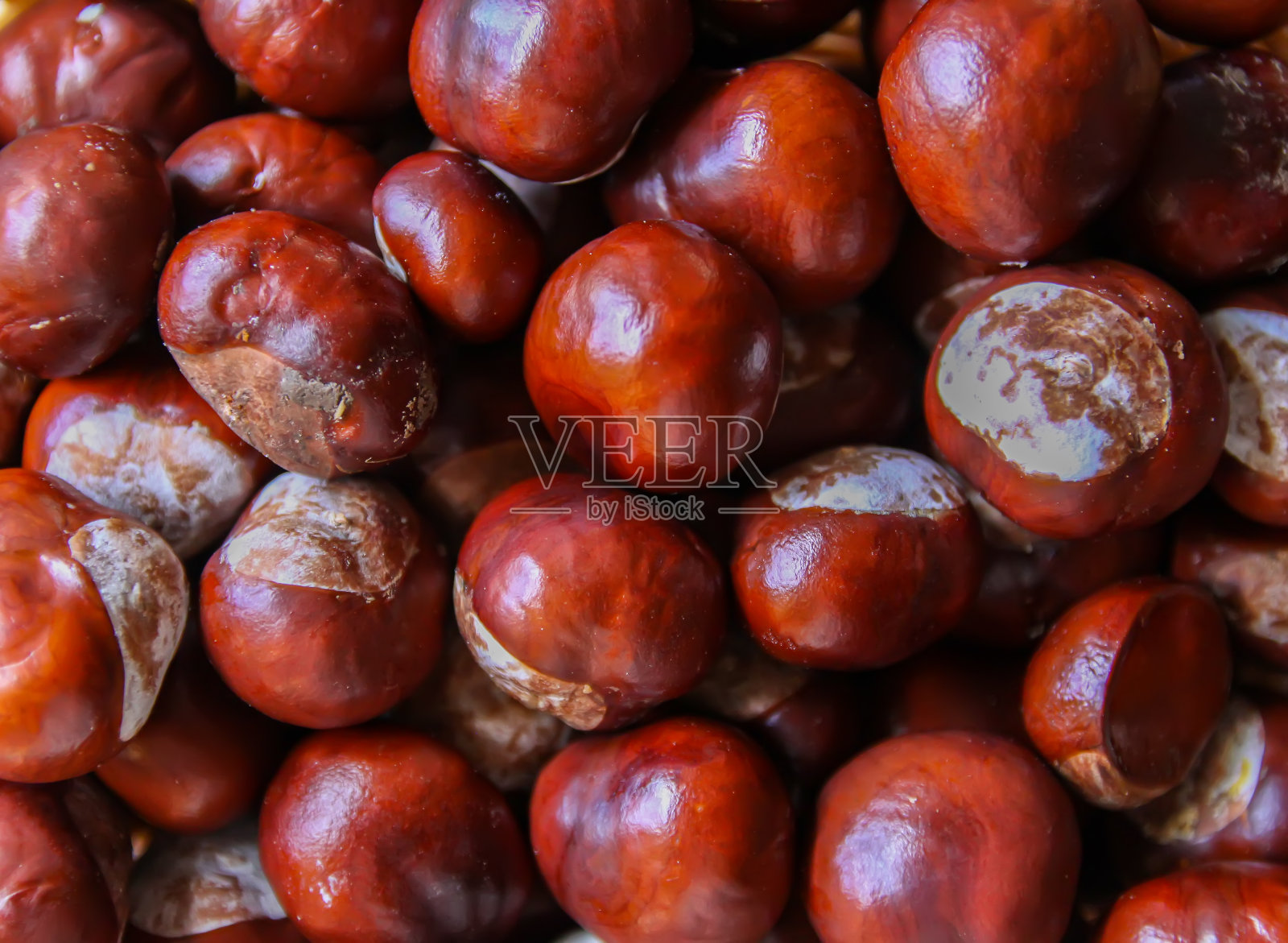 新鲜生的秋天栗子照片摄影图片