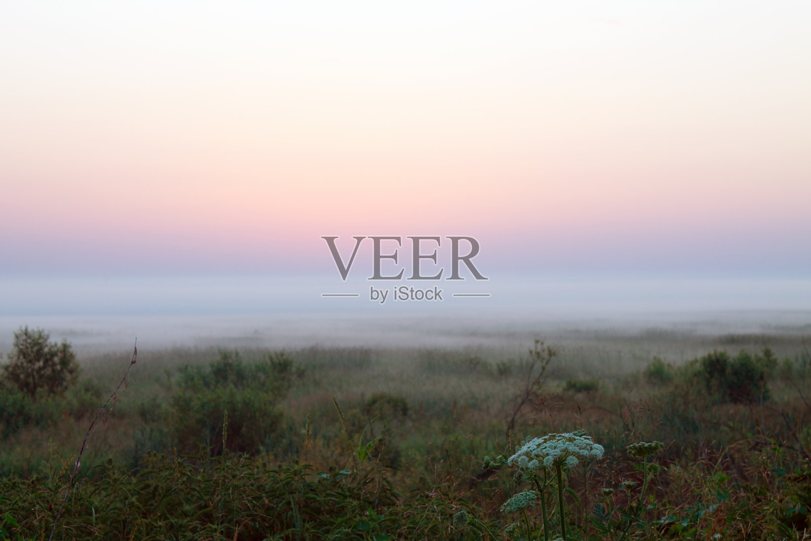 早....照片摄影图片