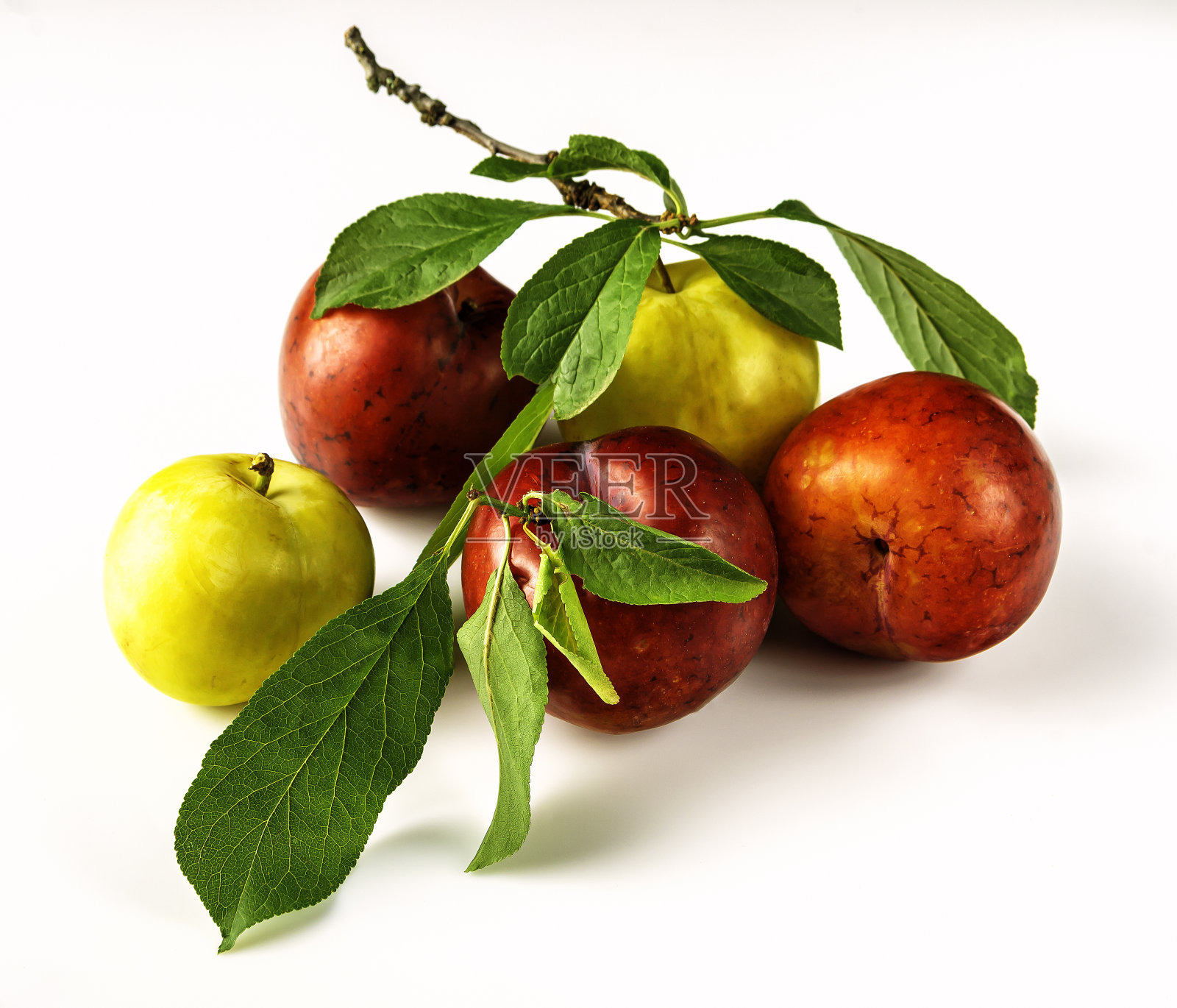 白色背景上结着成熟的李子果实照片摄影图片