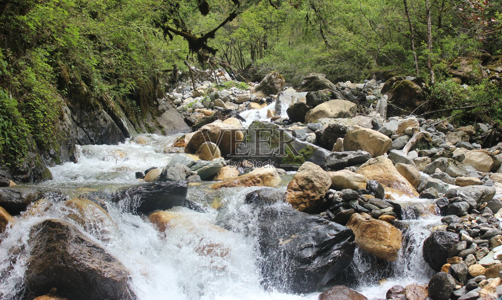喜马拉雅山森林中的一条山河。照片摄影图片
