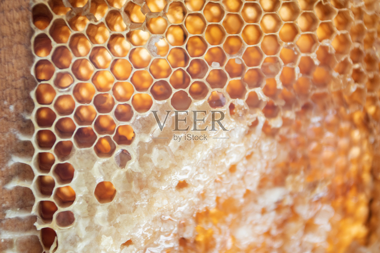 蜂巢里有甜甜的金色蜂蜜照片摄影图片