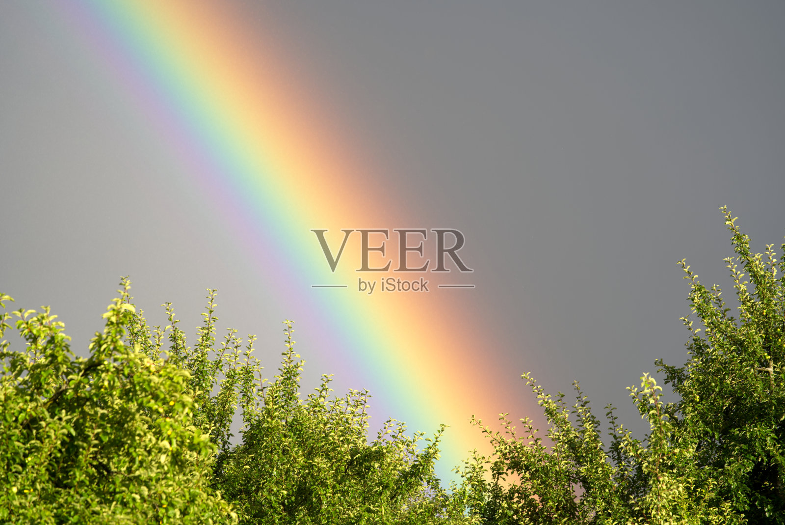 美丽的双彩虹在夏天的晚上在苏黎世市。照片摄影图片