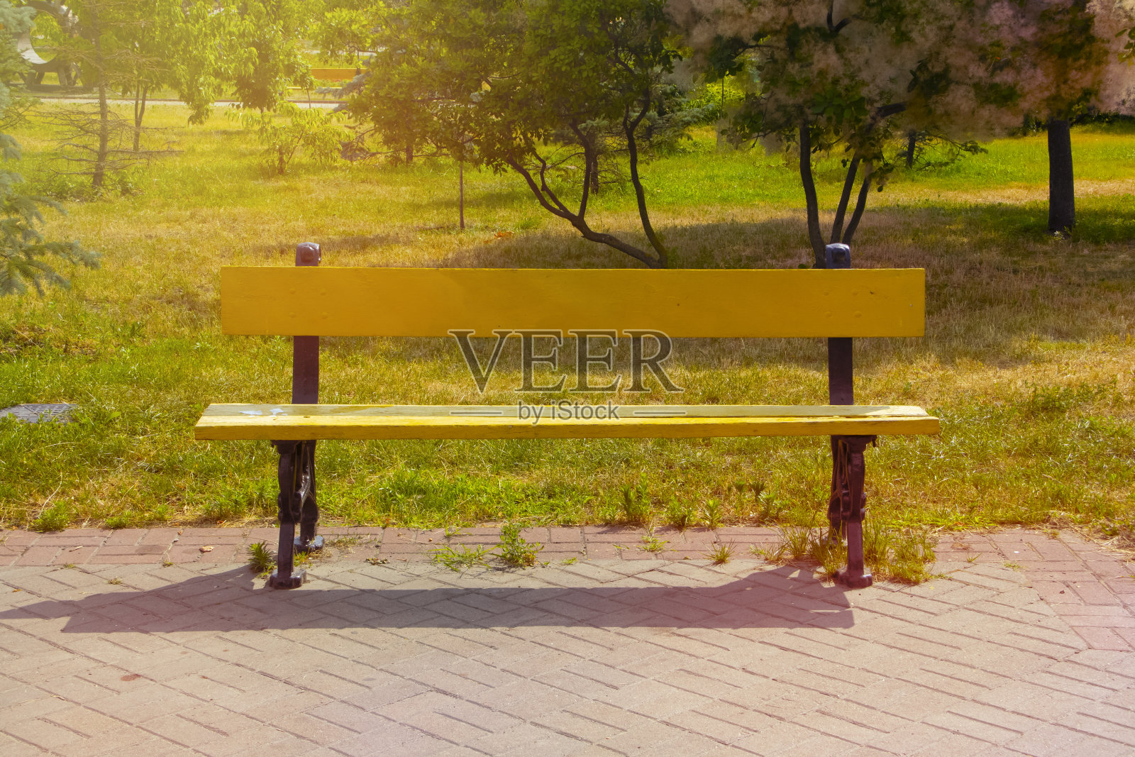 夏日公园里的一张空长椅照片摄影图片