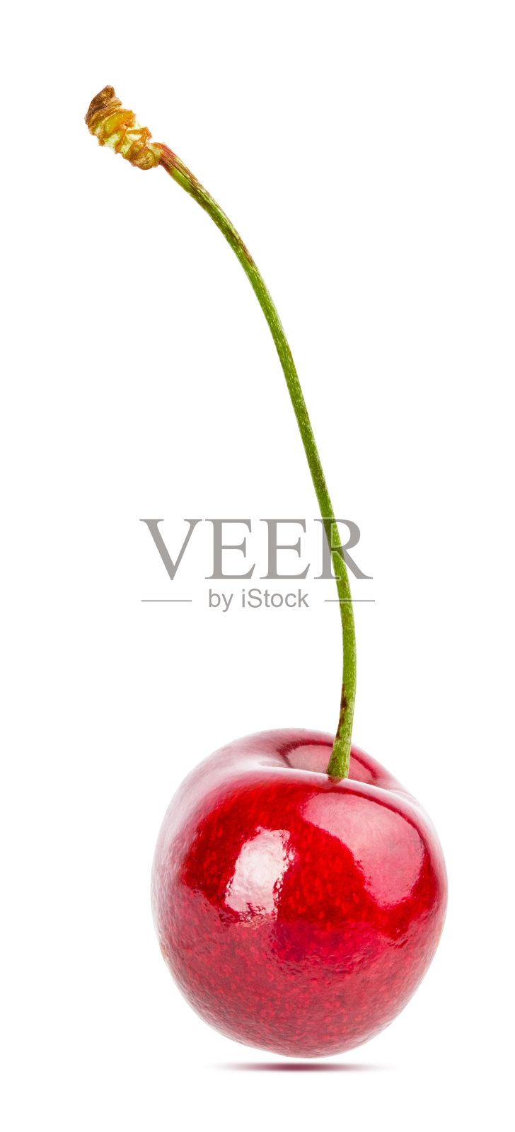 樱桃孤立在白色背景与剪切路径照片摄影图片