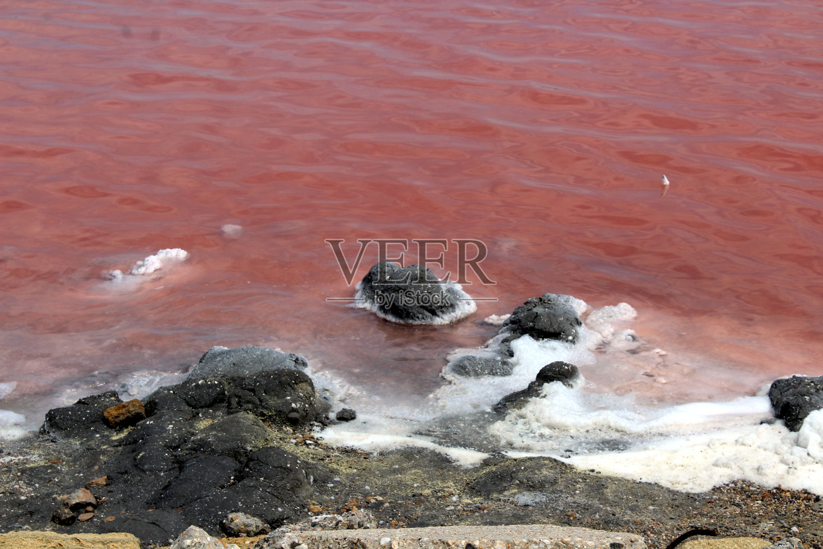 艾格斯-莫特斯盐沼的景色照片摄影图片