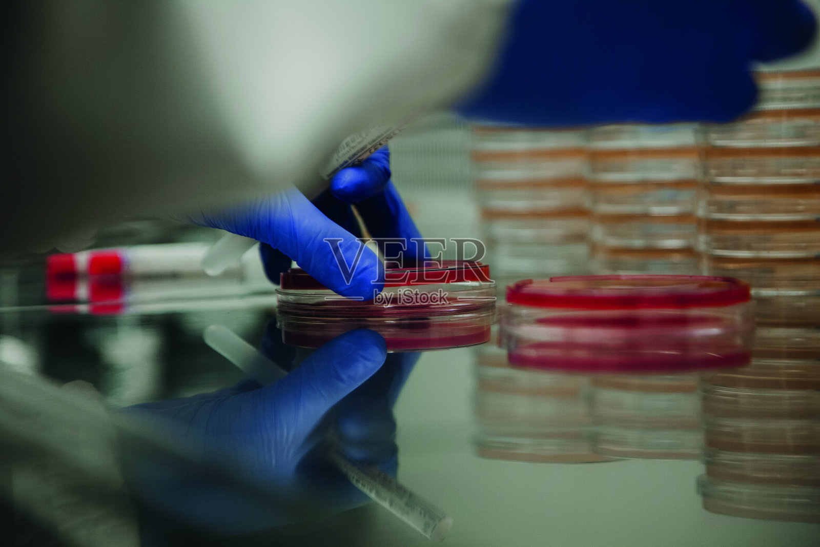 分析实验室测试照片摄影图片