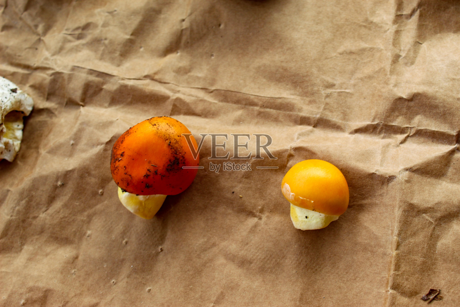 收获后的橙色凯撒蘑菇照片摄影图片