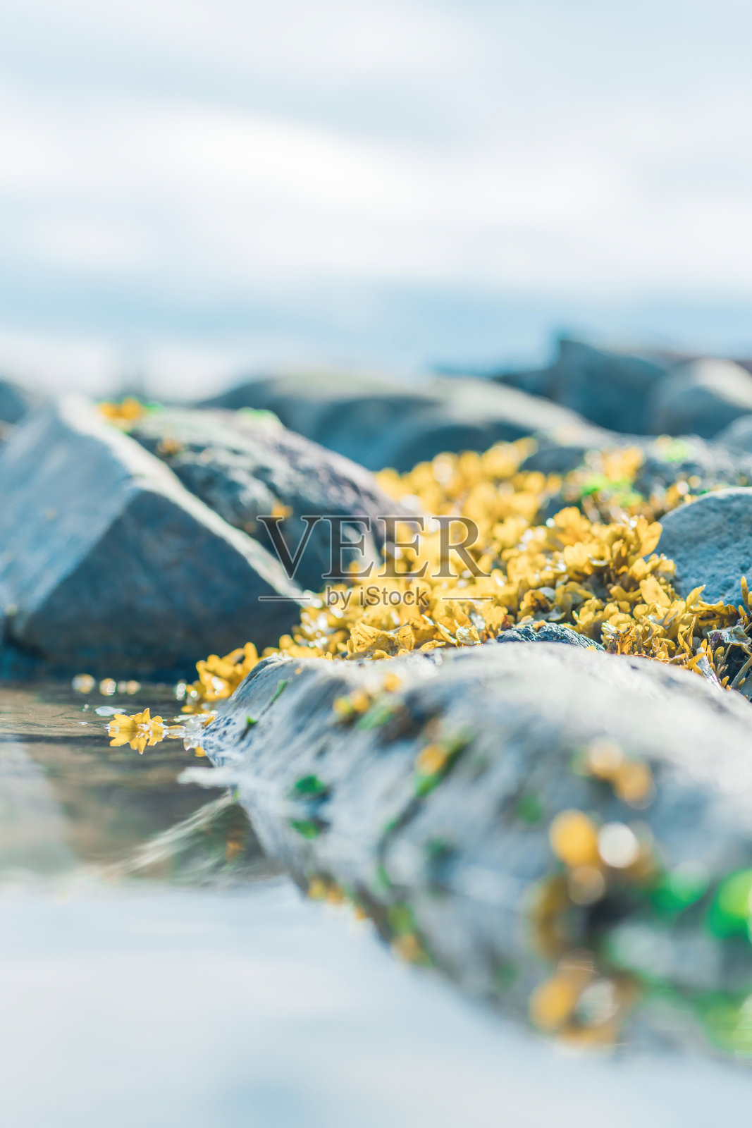 你的地球照片摄影图片