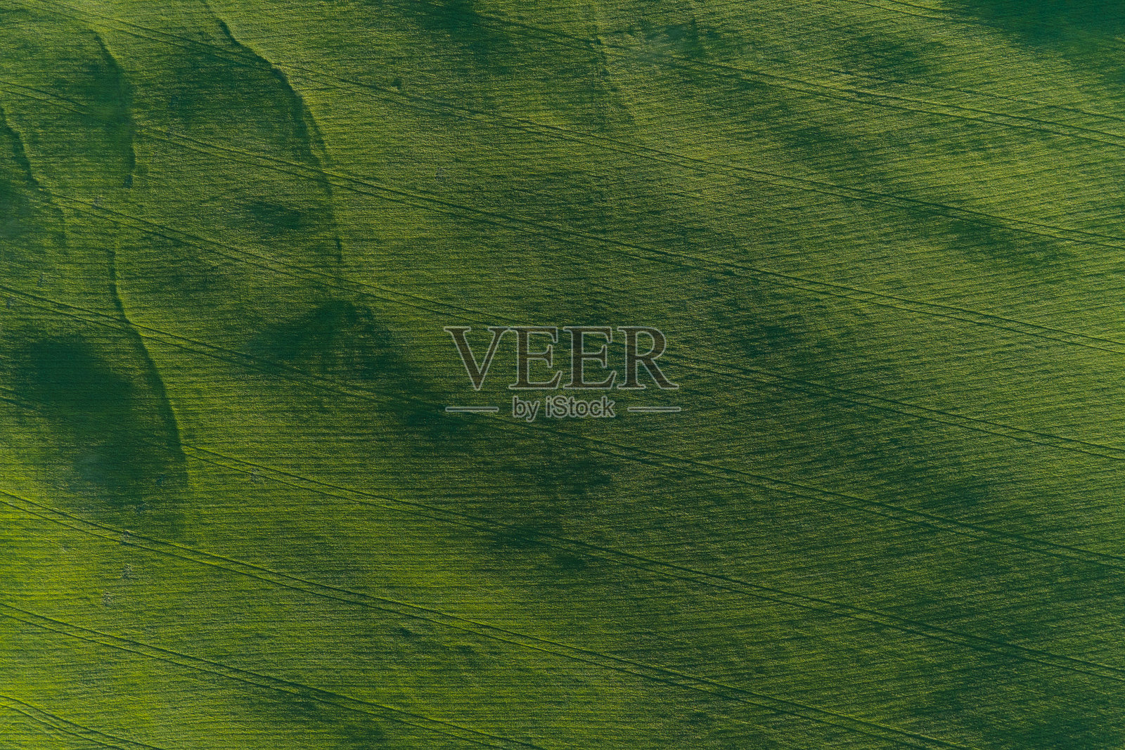 日出时森林鸟瞰图。无人机飞过树木和绿地。照片摄影图片