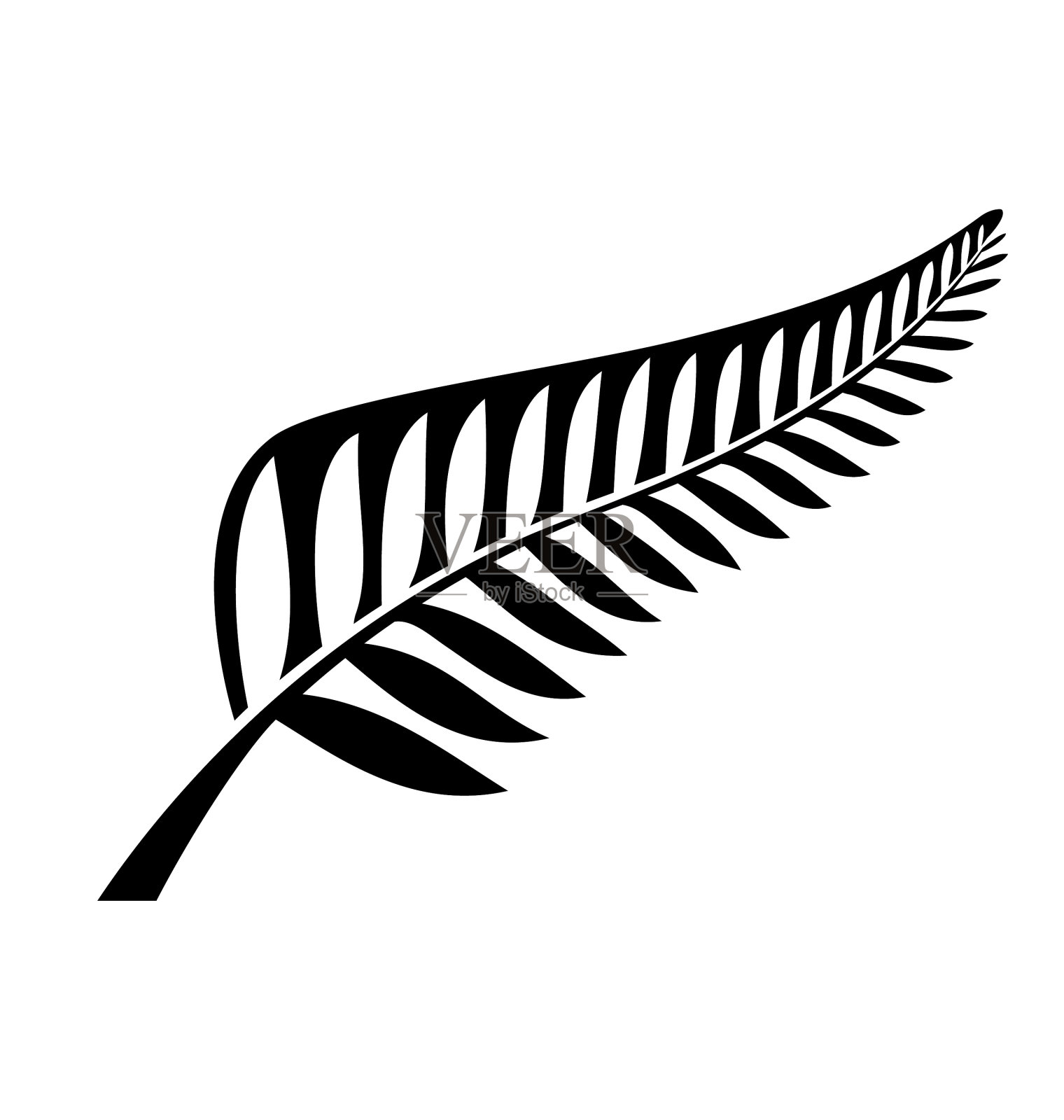 经典的新西兰银蕨图标象征黑色和白色设计元素图片